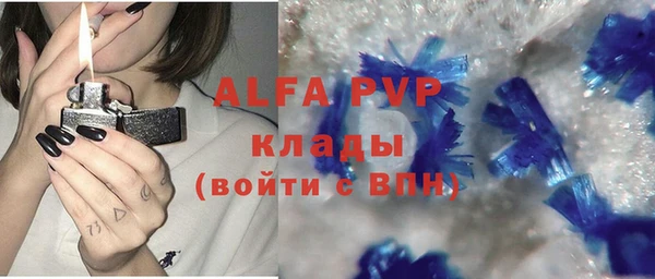 сатива Кинешма