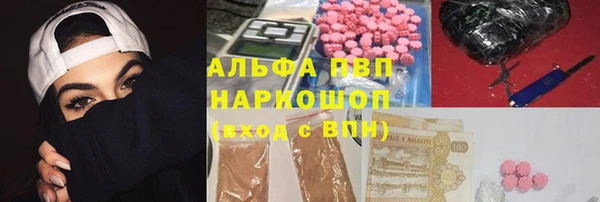 сатива Кинешма