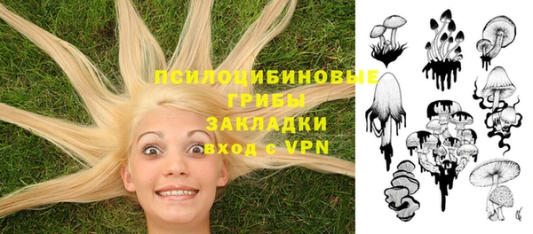 сатива Кинешма