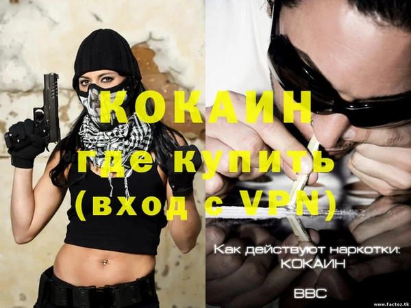 сатива Кинешма