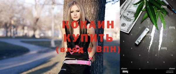 сатива Кинешма